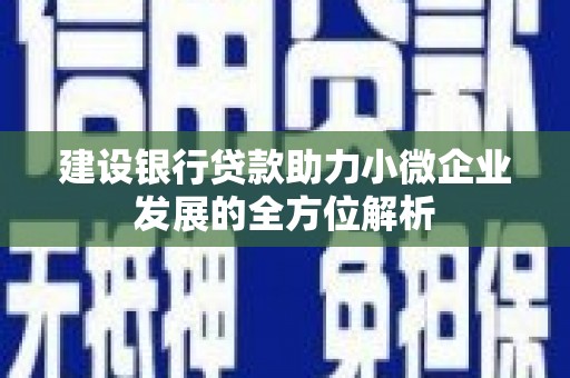 施秉建设银行贷款助力小微企业发展的全方位解析