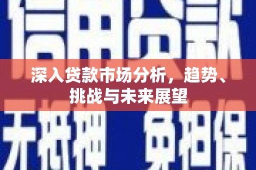 施秉深入贷款市场分析，趋势、挑战与未来展望