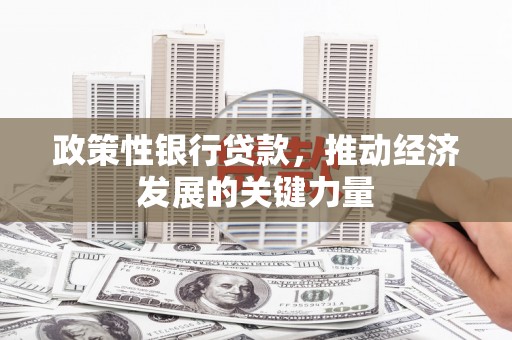 施秉政策性银行贷款，推动经济发展的关键力量
