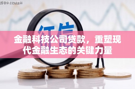 施秉金融科技公司贷款，重塑现代金融生态的关键力量