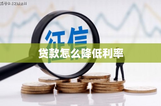 施秉贷款怎么降低利率