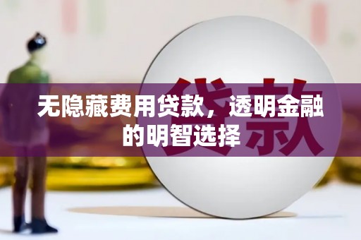 施秉无隐藏费用贷款，透明金融的明智选择