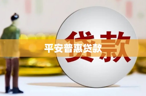 施秉平安普惠贷款