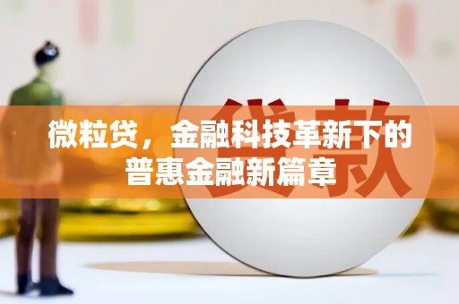施秉微粒贷，金融科技革新下的普惠金融新篇章