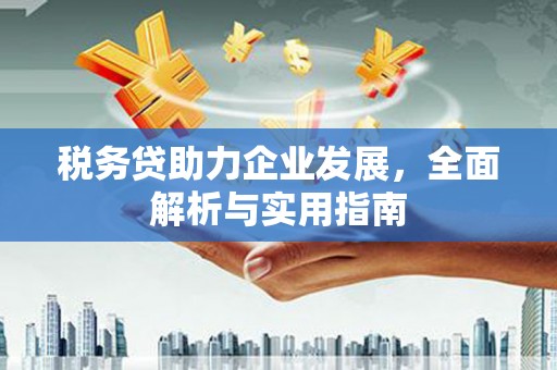 施秉税务贷助力企业发展，全面解析与实用指南
