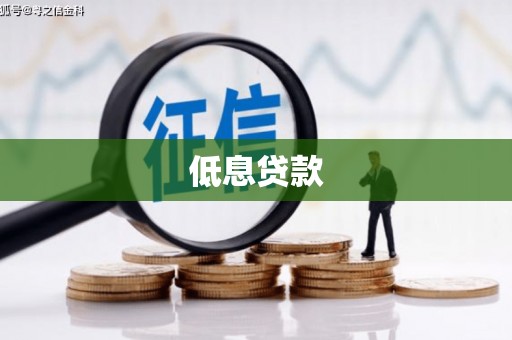 施秉低息贷款
