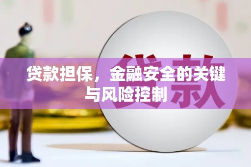 施秉贷款担保，金融安全的关键与风险控制
