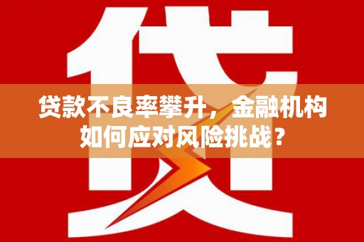 施秉贷款不良率攀升，金融机构如何应对风险挑战？