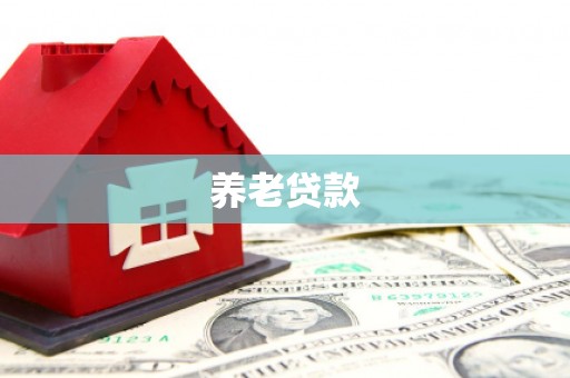 施秉养老贷款
