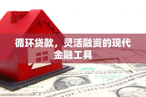 施秉循环贷款，灵活融资的现代金融工具
