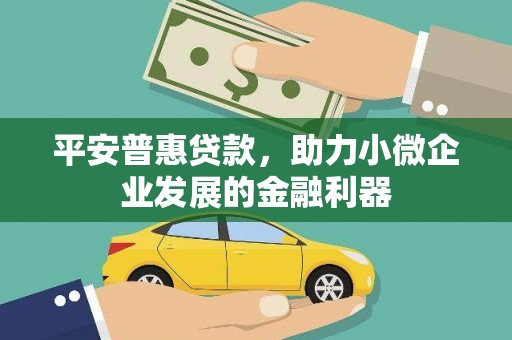 施秉平安普惠贷款，助力小微企业发展的金融利器