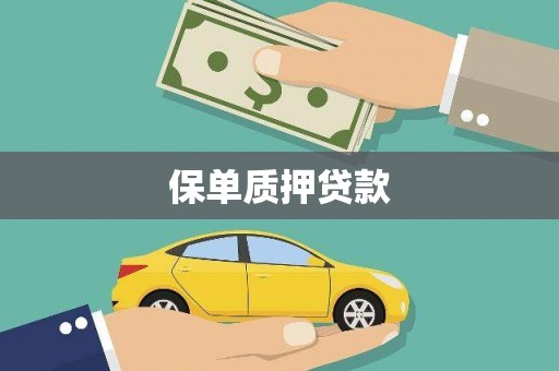 施秉保单质押贷款
