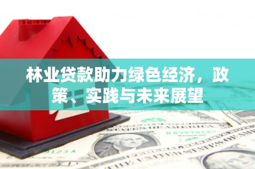 施秉林业贷款助力绿色经济，政策、实践与未来展望