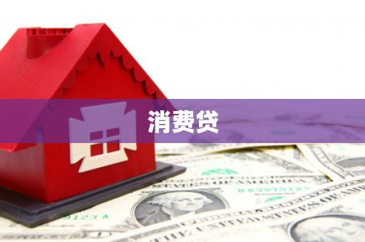 施秉消费贷