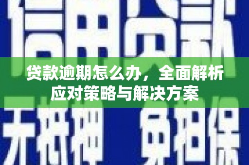 施秉贷款逾期怎么办，全面解析应对策略与解决方案