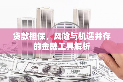 施秉贷款担保，风险与机遇并存的金融工具解析