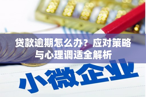 施秉贷款逾期怎么办？应对策略与心理调适全解析