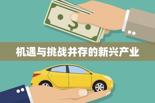 施秉机遇与挑战并存的新兴产业