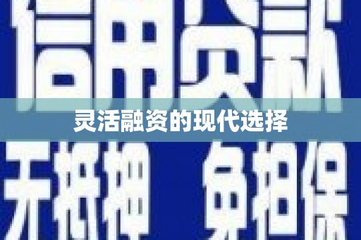 施秉灵活融资的现代选择