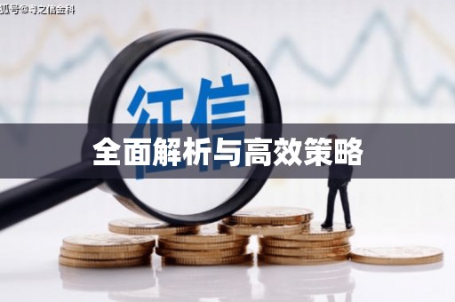 施秉全面解析与高效策略