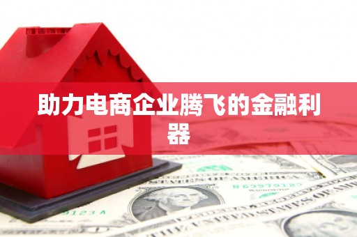 施秉助力电商企业腾飞的金融利器