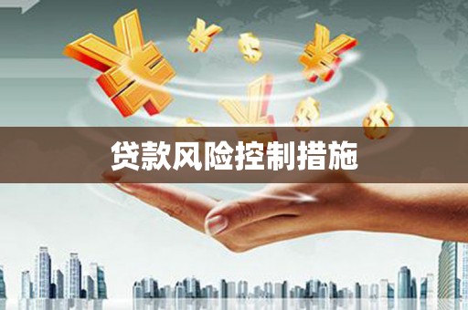 施秉贷款风险控制措施