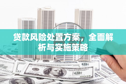 施秉贷款风险处置方案，全面解析与实施策略
